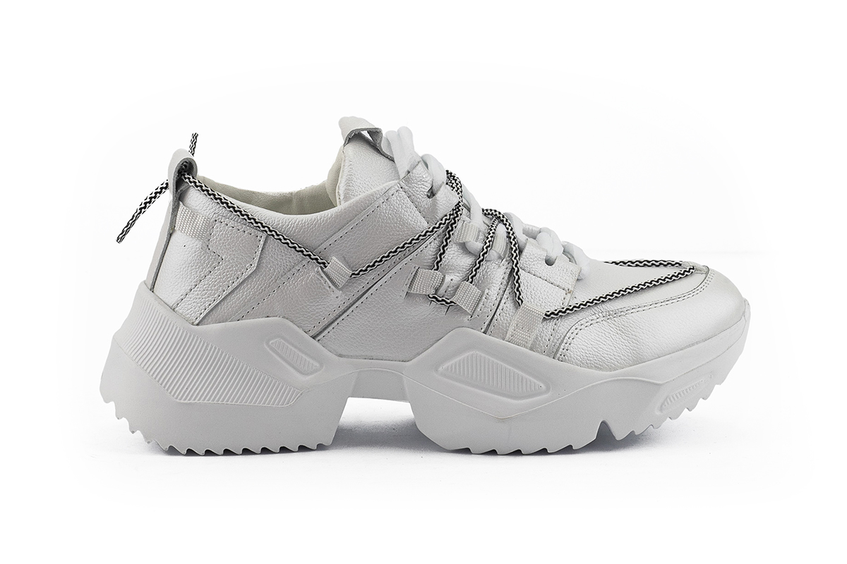 Lions Bllis-SA-W1 (3)