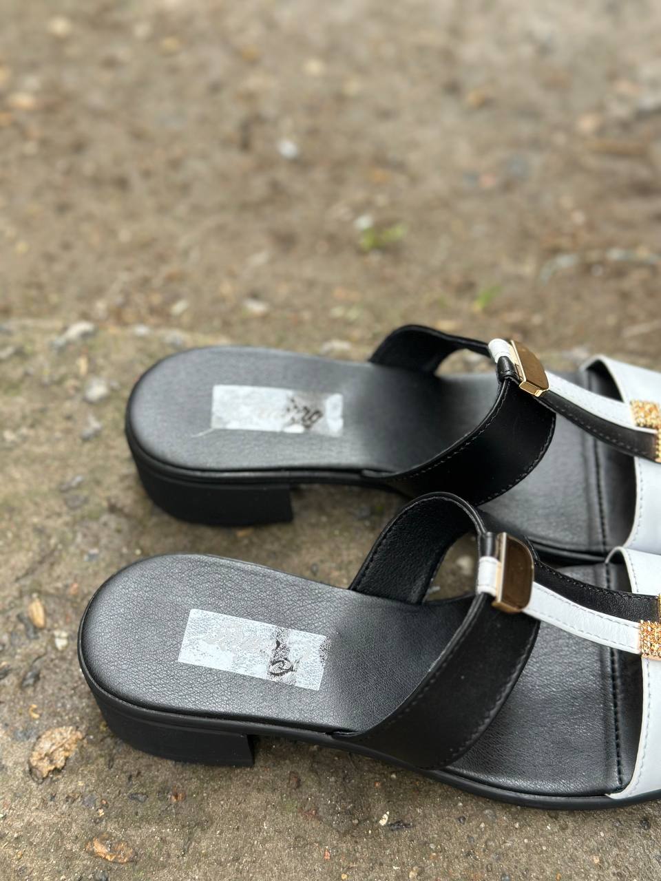 photo_2025-04-04_22-30-06