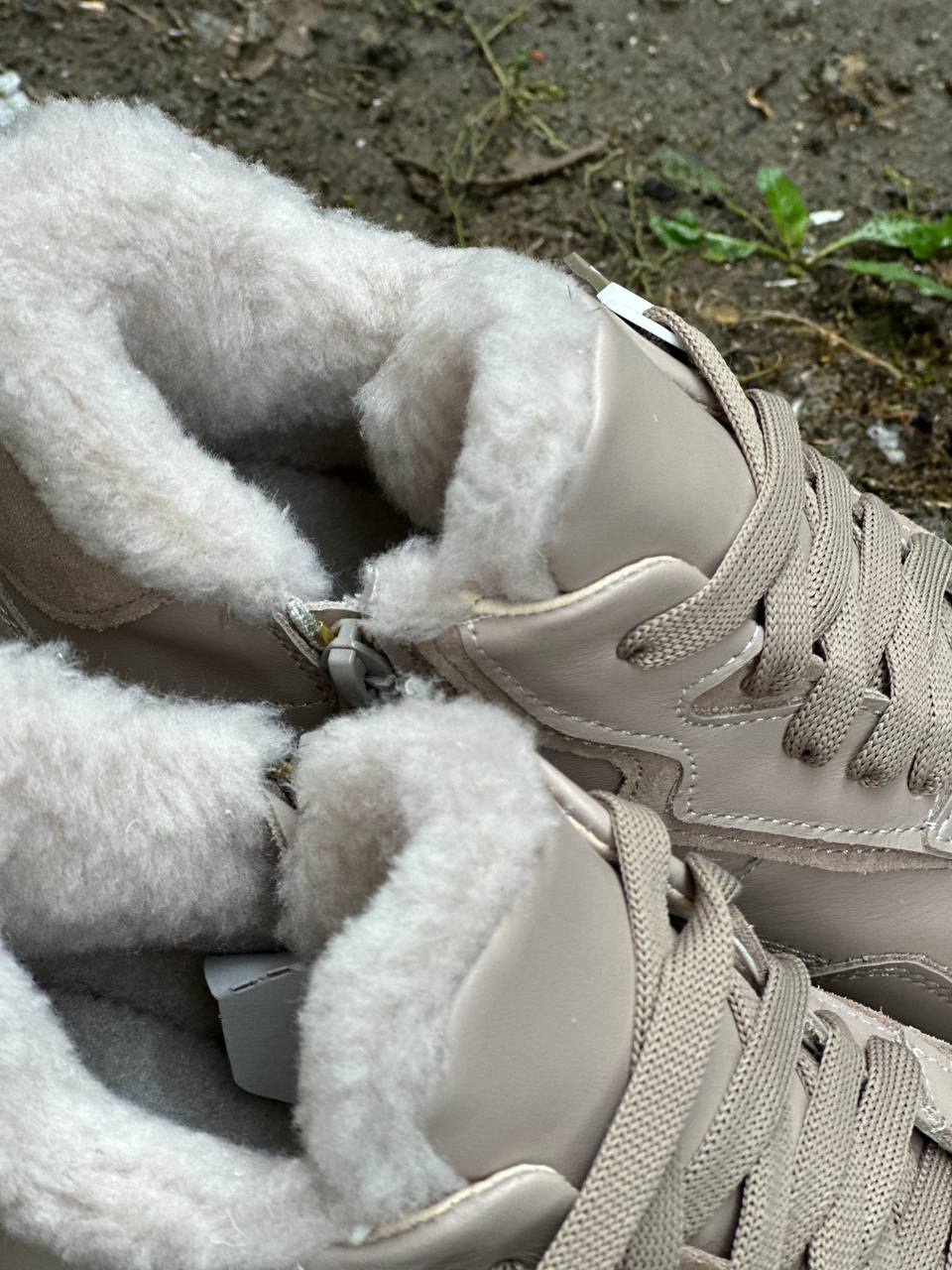 photo_2024-10-01_20-37-24