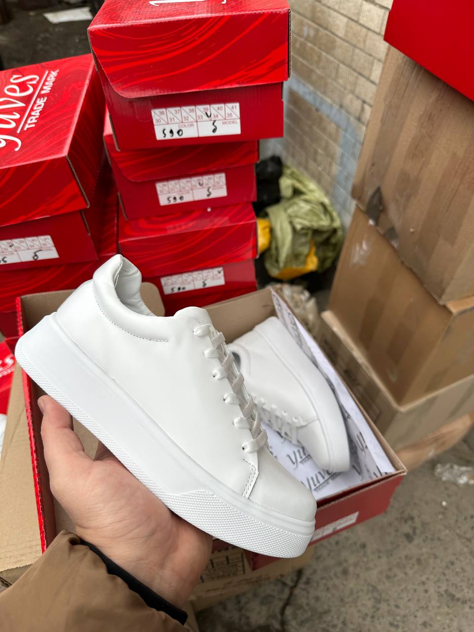 photo_2024-02-19_21-26-23 — копия