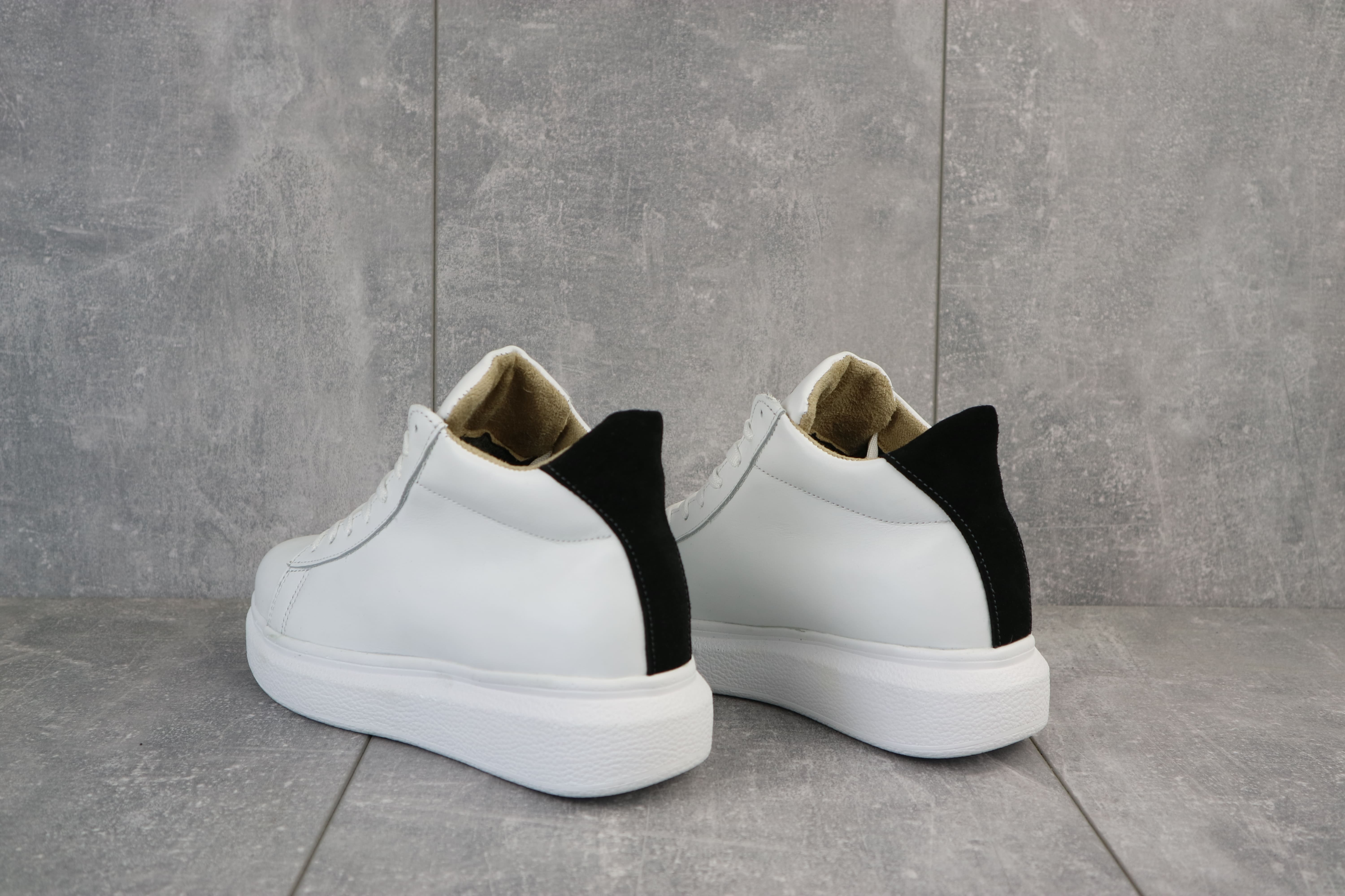 Lions-AM-бел-W-W1 (5)