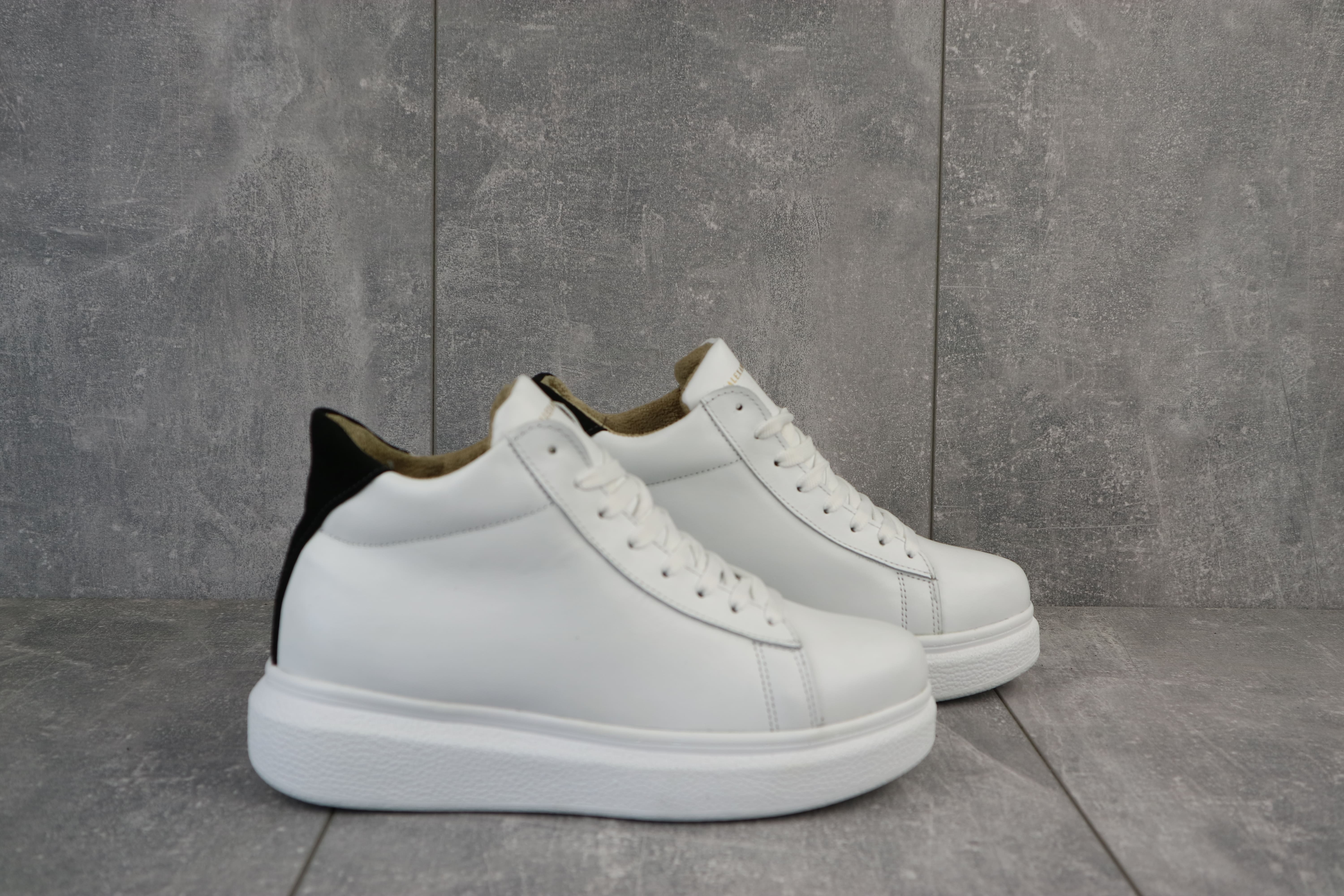 Lions-AM-бел-W-W1 (2)