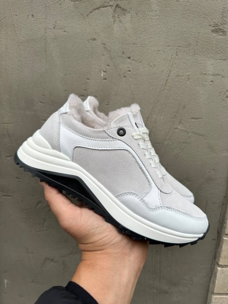 photo_3_2023-10-20_15-17-48