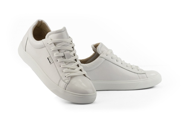 Favi-01172-бел-Лак (1)