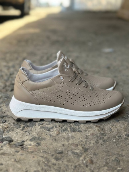 photo_2025-04-25_20-23-33