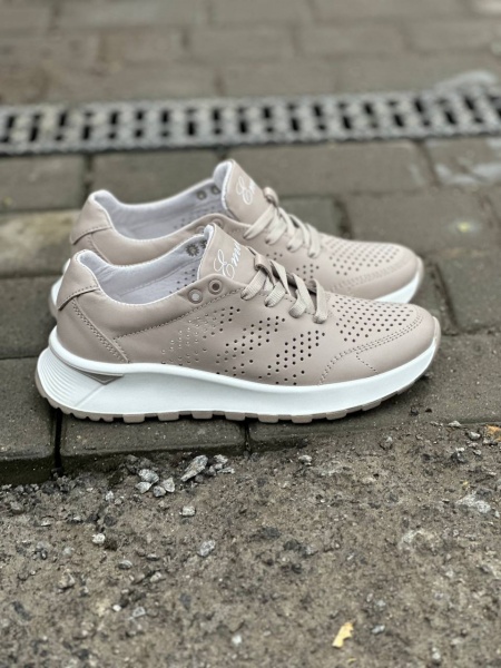 photo_20_2025-03-03_11-38-34