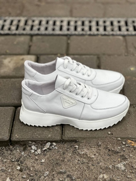 photo_3_2025-03-03_11-38-34