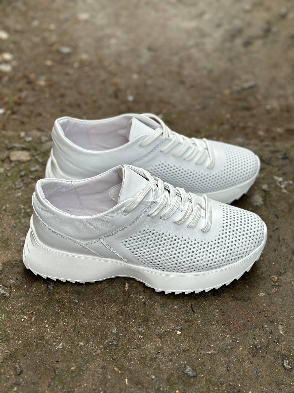 photo_2025-04-04_22-28-13