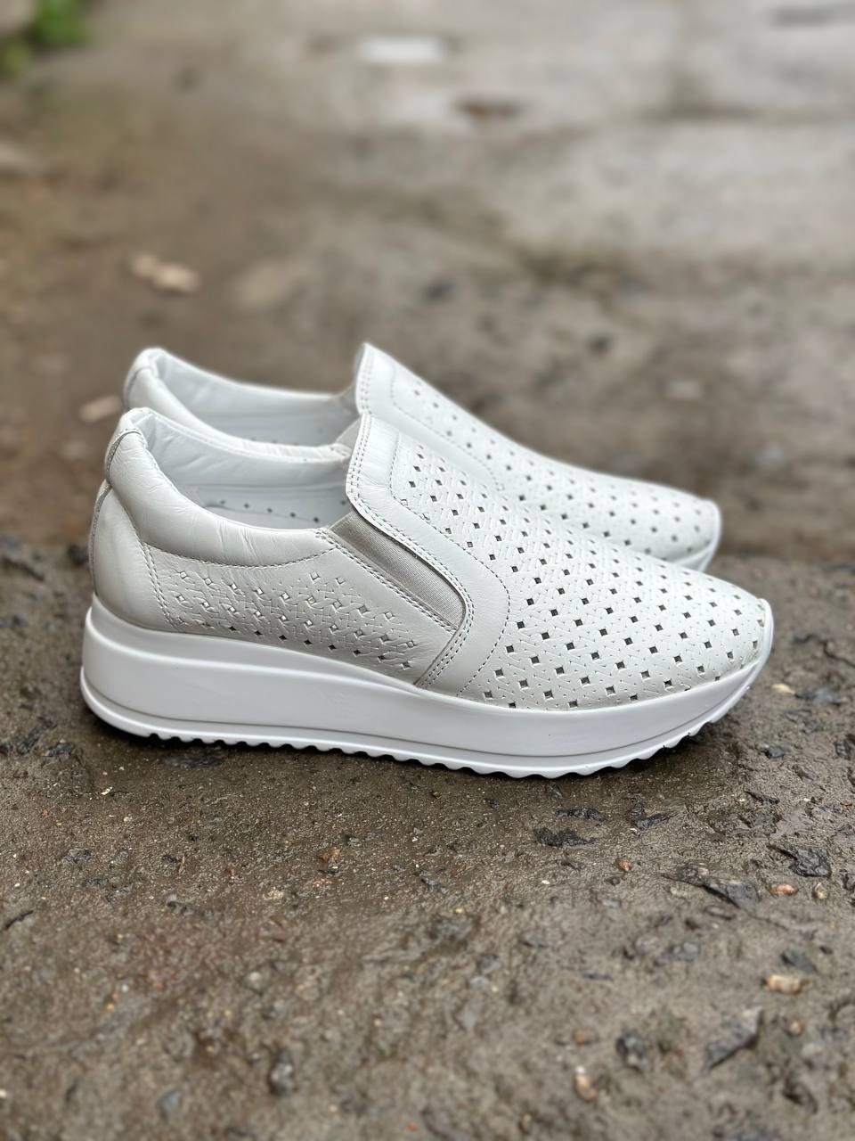 photo_2025-04-02_19-40-52