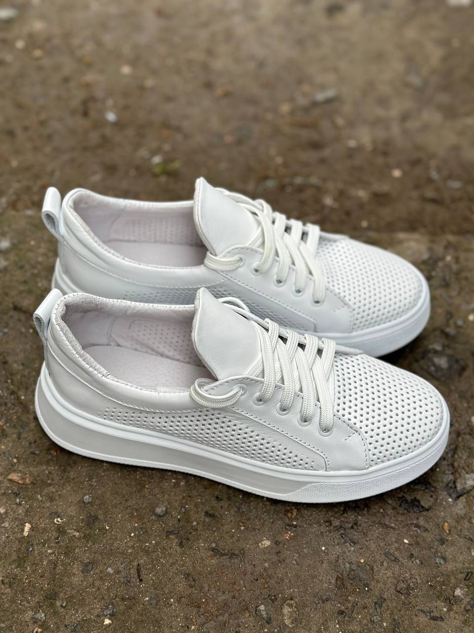 photo_2025-04-04_22-28-00