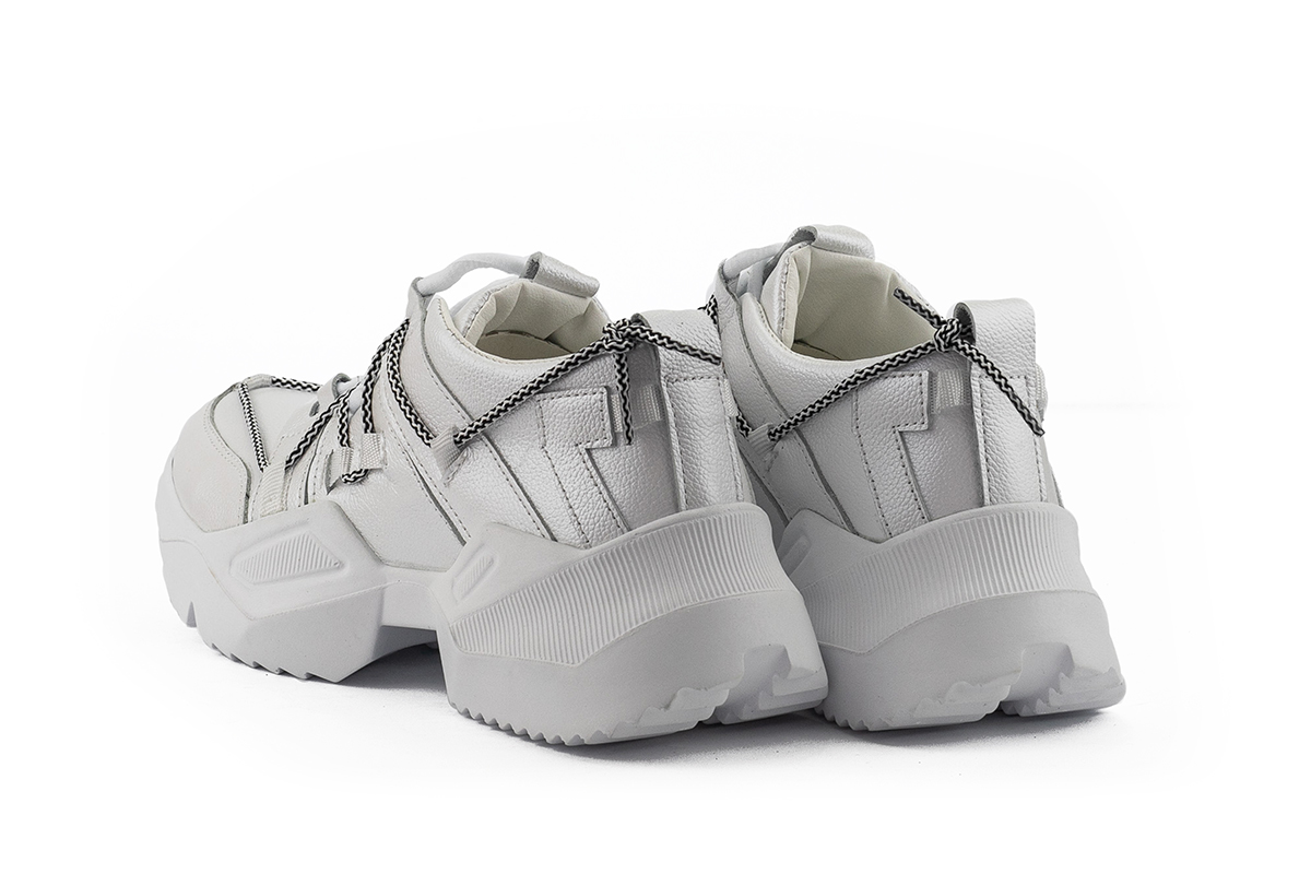 Lions Bllis-SA-W1 (2)