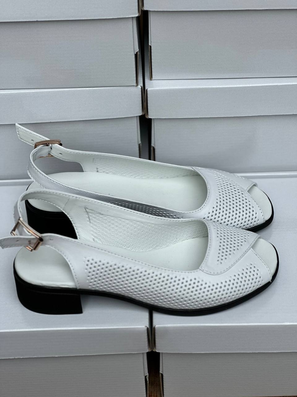 photo_2024-06-10_23-13-44