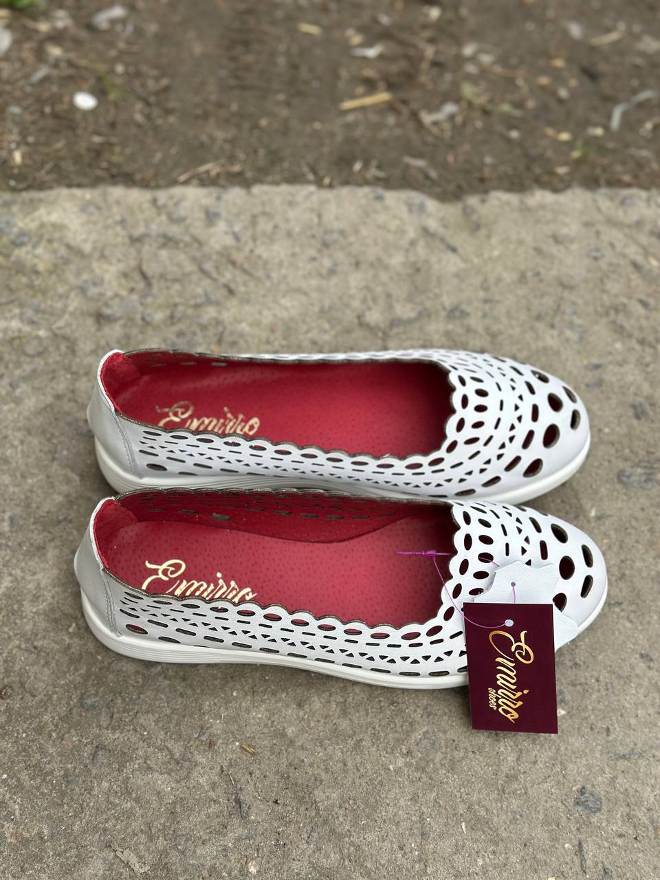 photo_13_2025-04-12_17-01-13