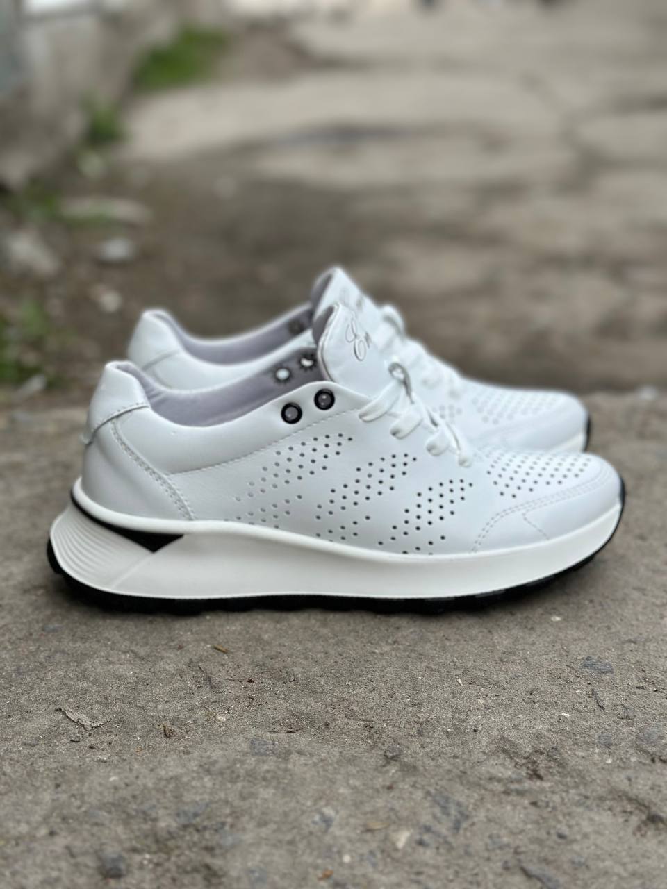 photo_2025-04-16_21-40-47