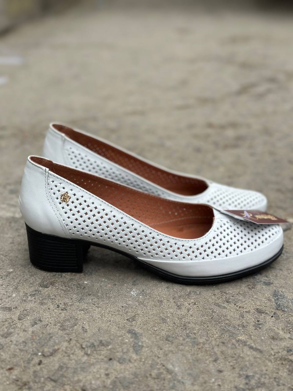 photo_2025-04-08_20-18-19