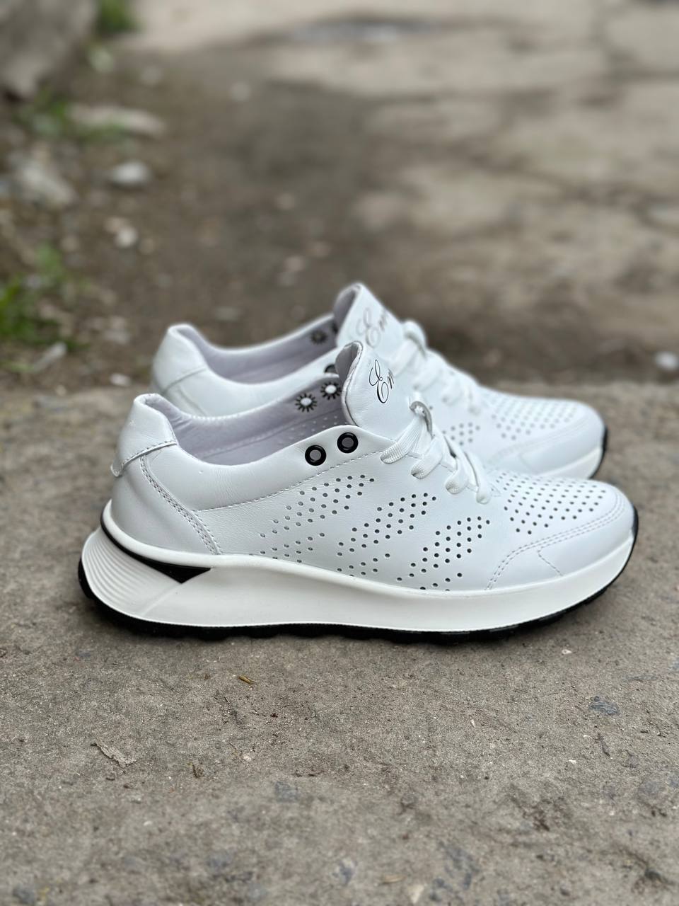 photo_2025-04-16_21-40-45