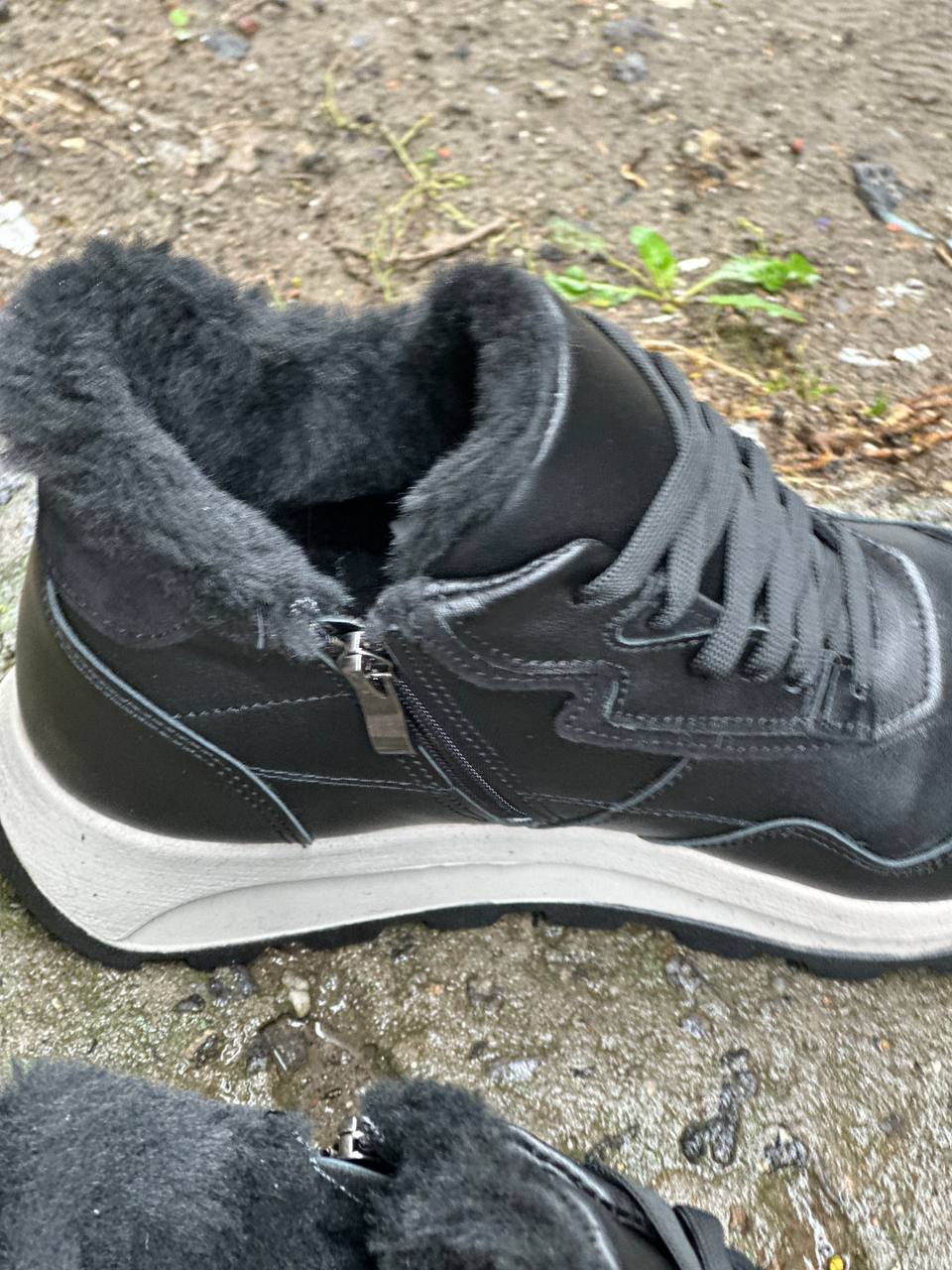 photo_2024-10-01_20-37-13