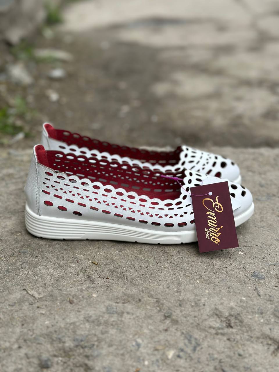 photo_2_2025-04-12_17-01-13