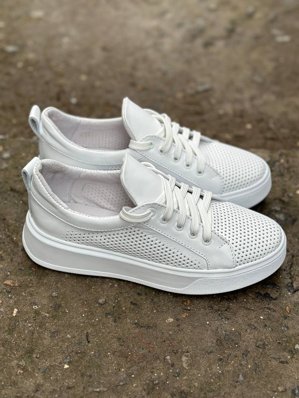 photo_2025-04-04_22-27-59