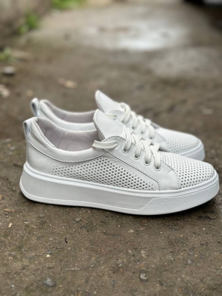 photo_2025-04-04_22-27-56