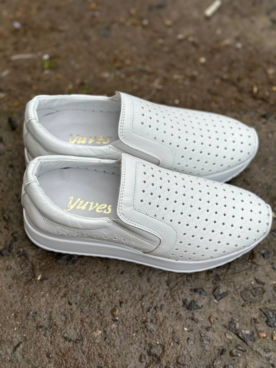 photo_2025-04-02_19-40-50