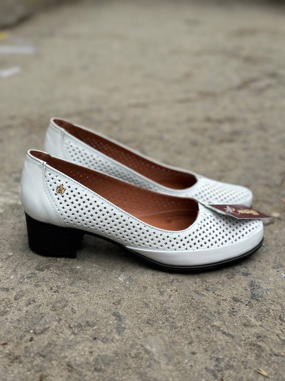 photo_2025-04-08_20-18-25