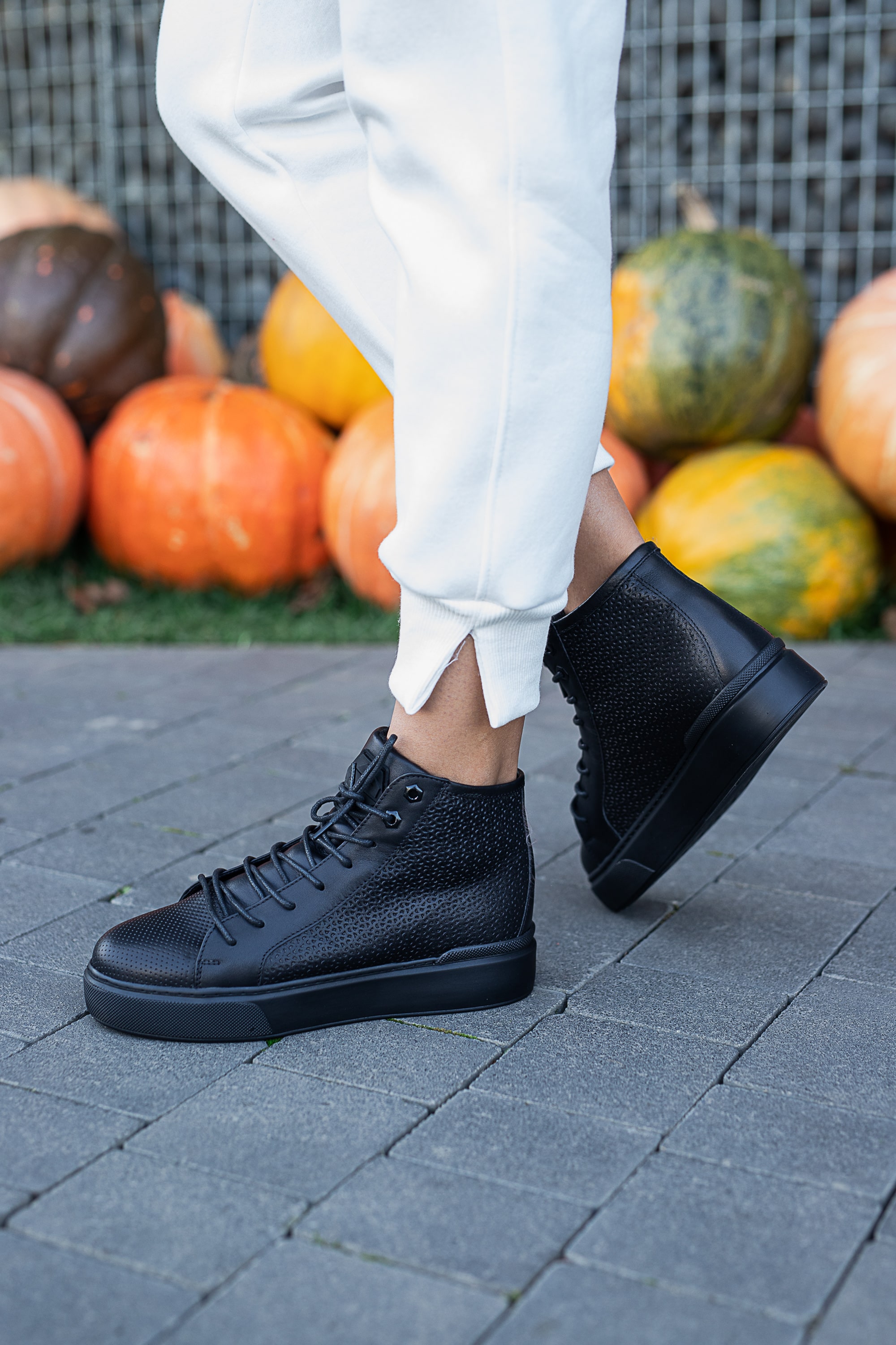 3-453821-11-SA-W1-чер (5)