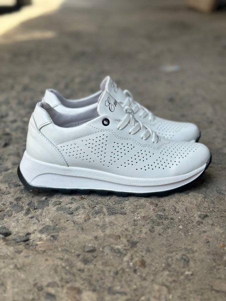 photo_2025-04-25_20-23-27