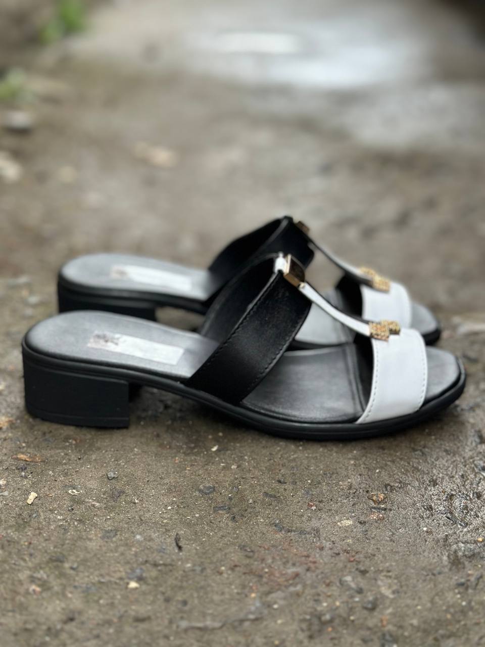 photo_2025-04-04_22-30-05