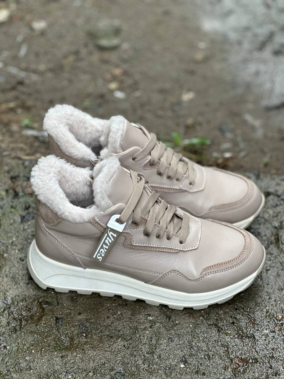 photo_2024-10-01_20-37-26