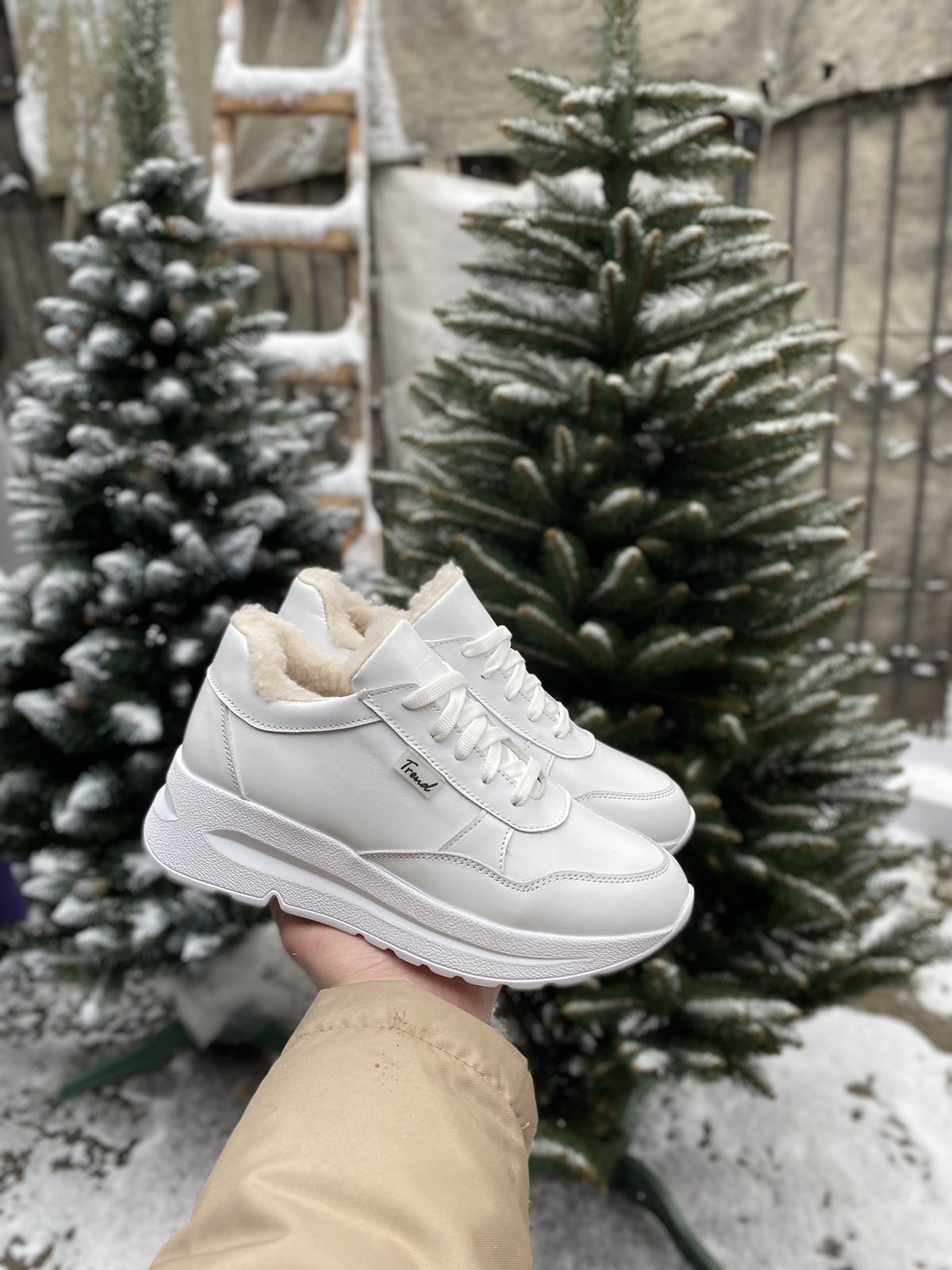 изображение_viber_2022-11-20_12-57-22-381