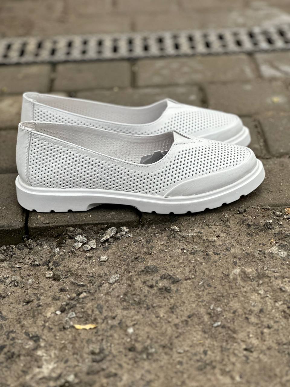 photo_24_2025-03-03_11-38-34