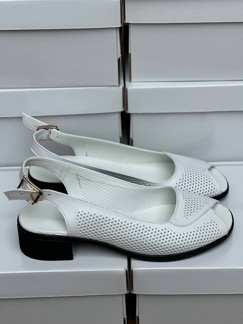 photo_2024-06-10_23-13-48