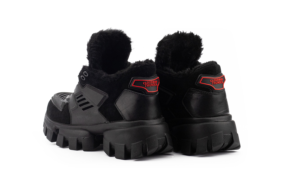 БС-121-01Z-W-W2-чер (4)