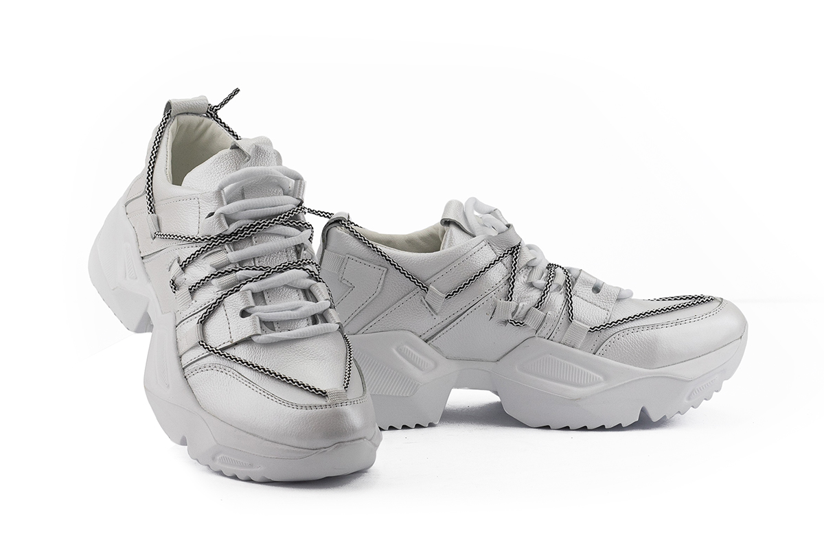 Lions Bllis-SA-W1 (1)