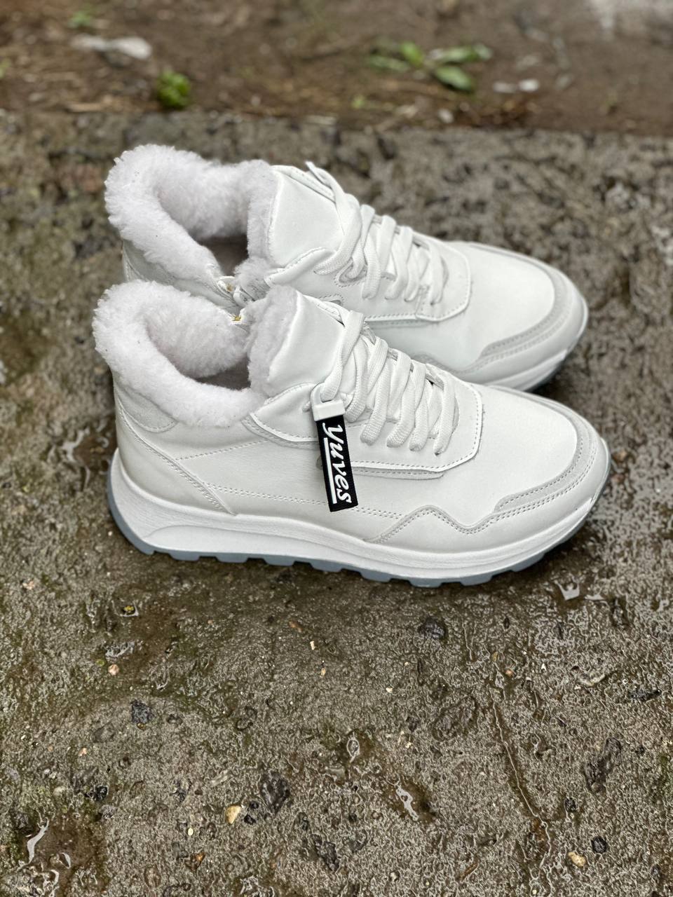 photo_2024-10-01_20-37-09