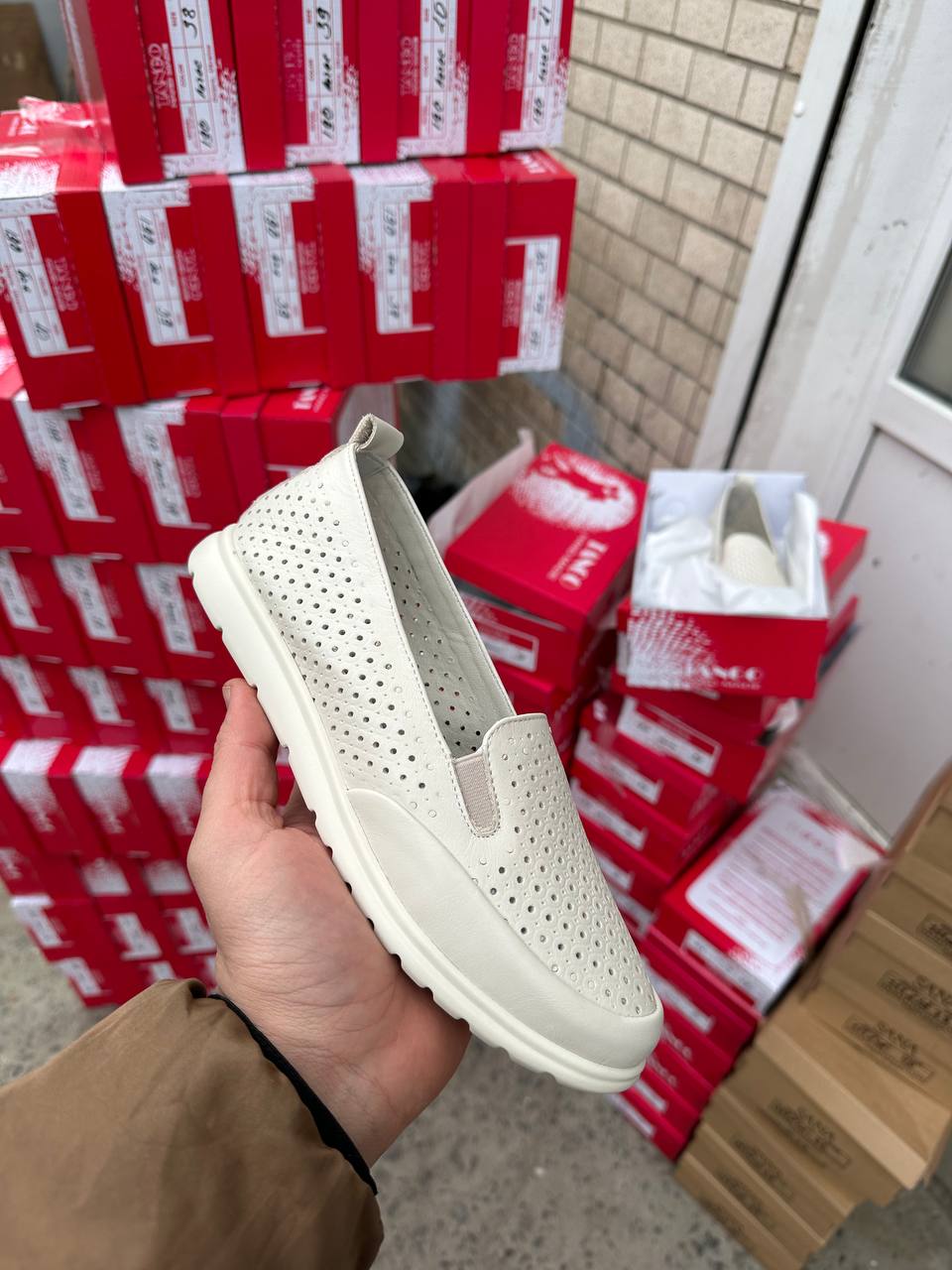 photo_2024-03-11_22-26-29