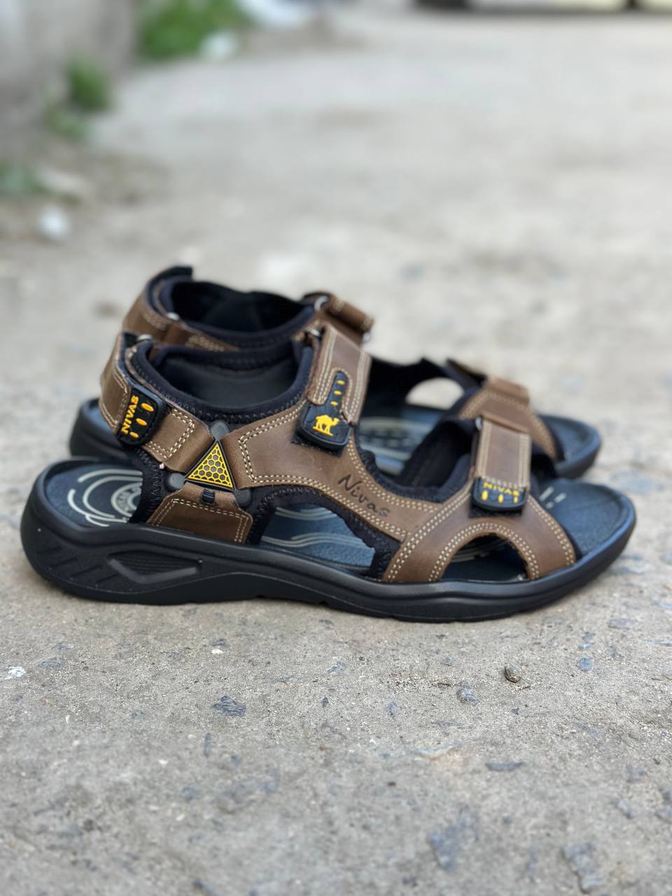 photo_2025-04-19_21-24-33