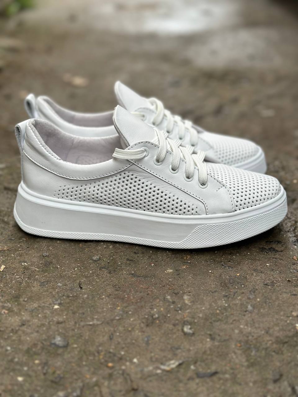 photo_2025-04-04_22-28-02