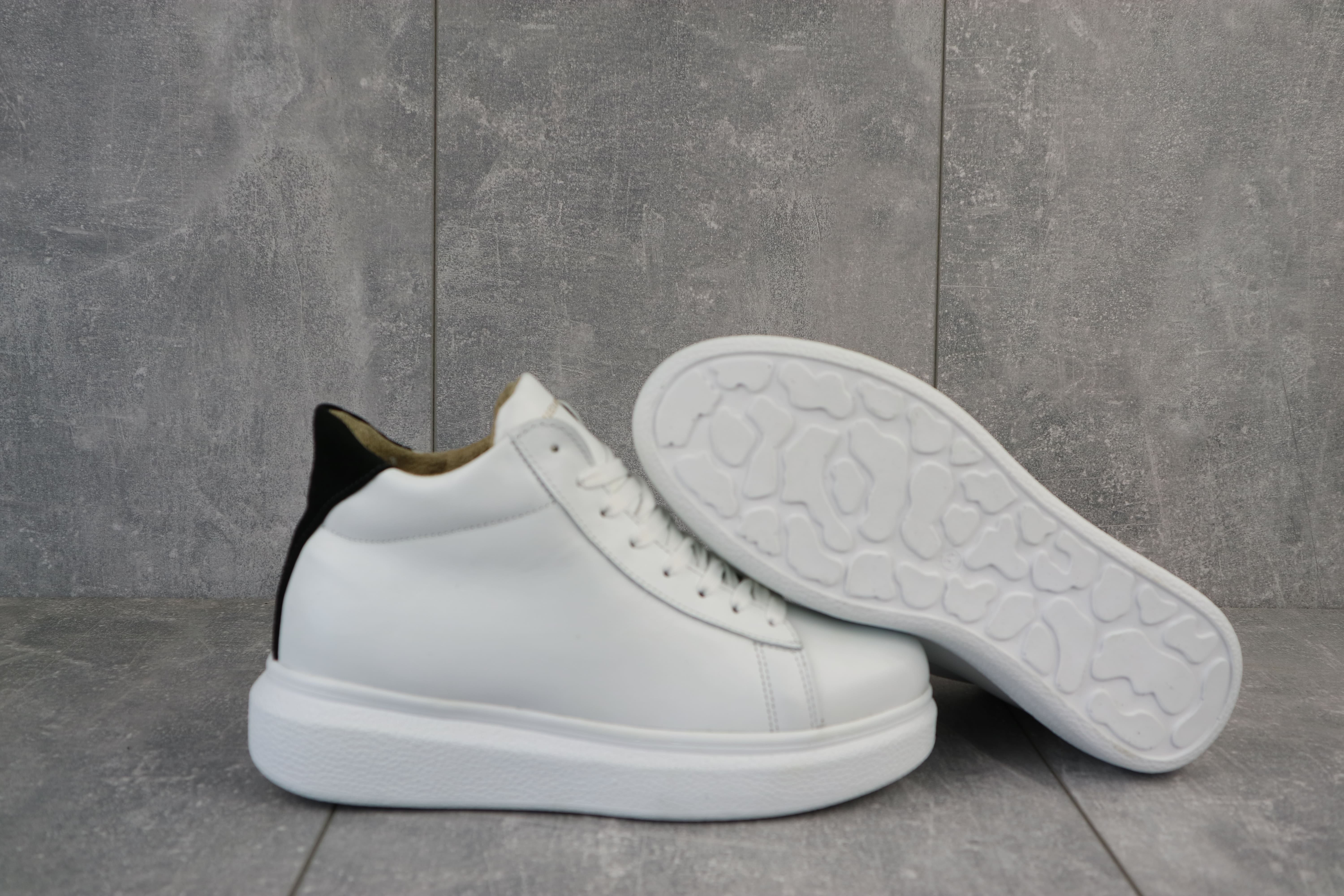 Lions-AM-бел-W-W1 (3)