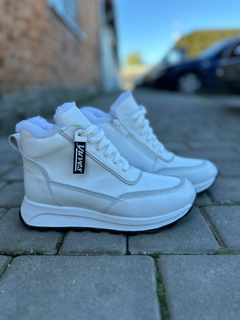 photo_2025-09-27_22-03-12