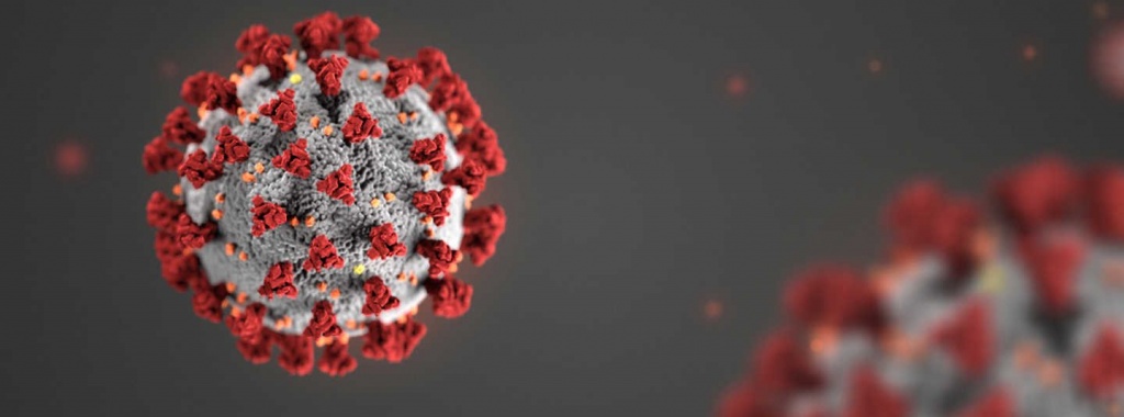 COVID19.jpg