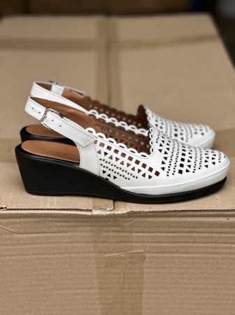 photo_2024-06-04_17-17-40