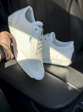 Anser-Л5S-M6-бел (6)