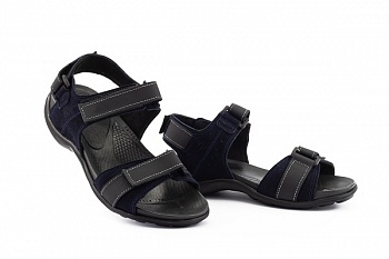 Monster-Е-S-M1-синий (1)