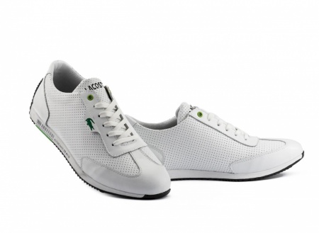 Anser-Л5S-M6-бел (1)