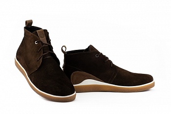 Zangak-152 кор.зол (1)