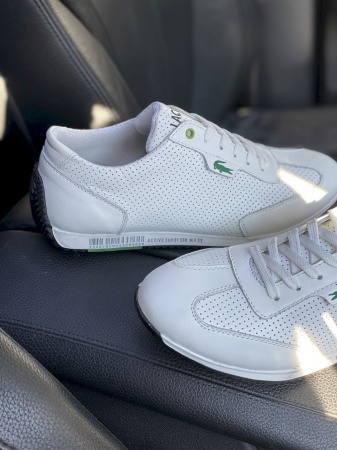 Anser-Л5S-M6-бел (8)