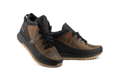 Anser Z 101-W-M1-ч-ол (1)