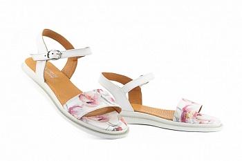 Mkrafvt-3227-S-W1-цв (1) Mkrafvt-3227-S-W1-цв (1)